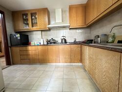 Central View (D19), Condominium #486768981